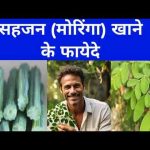 साइजन  के खाने के फायदे  Benefits of eating saijan