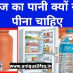 गर्मी के मौसम में फ्रिज का पानी क्यों नहीं पीना चाहिए? Why should one not drink refrigerator water during summer season?