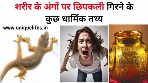 शरीर के अंगों पर छिपकली गिरने के कुछ धार्मिक तथ्य Some religious facts about lizard falling on body parts